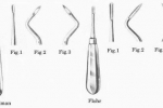 Dźwignie korzeniowe FRIEDMAN fig. 2